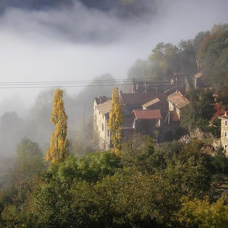 Mas La Donzelenche Otel Vialas Oda fotoğraf