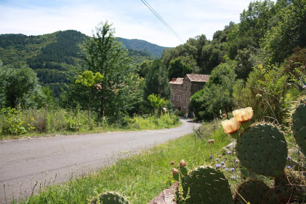 Mas La Donzelenche Otel Vialas Oda fotoğraf